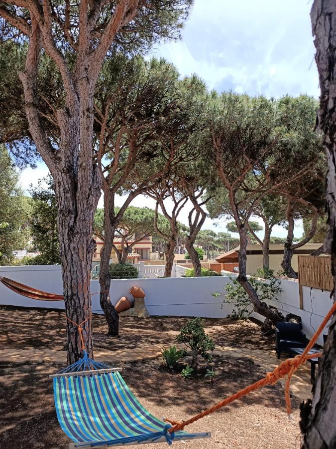 Villa Corvina チクラナ・デ・ラ・フロンテーラ エクステリア 写真